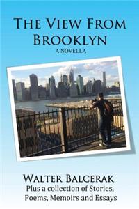 The View from Brooklyn