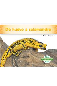 de Huevo a Salamandra (Becoming a Salamander )