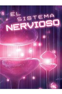 El Sistema Nervioso