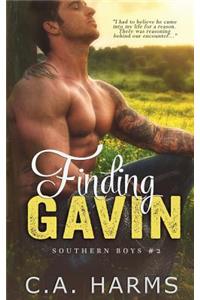 Finding Gavin