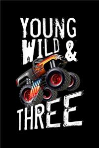 young wild & three