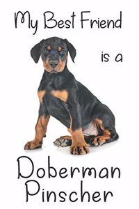 My best Friend is a Doberman Pinscher
