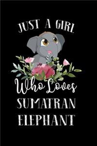 Just a Girl Who Loves Sumatran Elephant