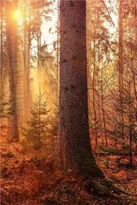 Autumn Notebook