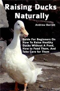 Raising Ducks Naturally