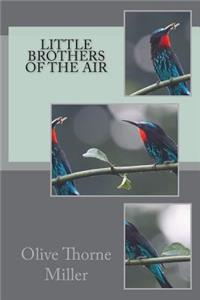 Little Brothers of the Air