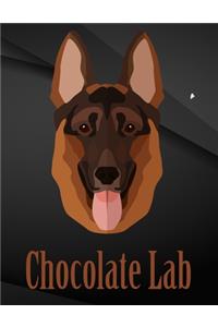 Chocolate Lab.