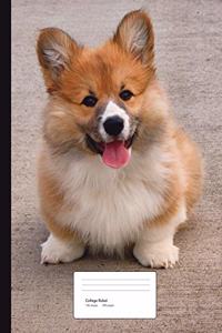 Corgi Puppy Composition Book College Ruled