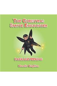 The Christmas Spryte Encounter