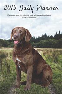 2019 Daily Planner Plan Your Days This Calendar Year with Goals to Gain and Work to Maintain.