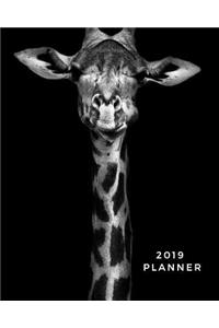 2019 Planner