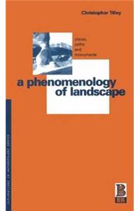 Phenomenology of Landscape