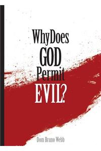 Why Does God Permit Evil?