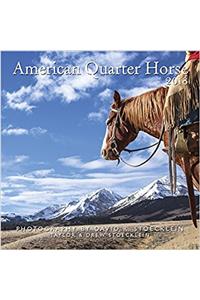 2018 American Quarter Horse Calendar
