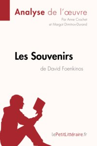 Les Souvenirs de David Foenkinos (Analyse de l'oeuvre)