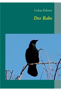 Rabe