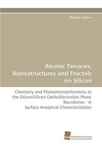 Atomic Terraces, Nanostructures and Fractals on Silicon