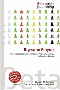 Big-Cone Pinyon