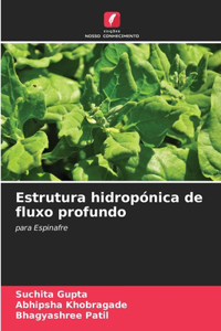 Estrutura hidropónica de fluxo profundo