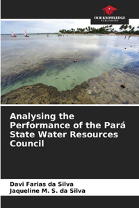 Analysing the Performance of the Pará State Water Resources Council