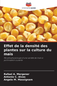 Effet de la densité des plantes sur la culture du maïs