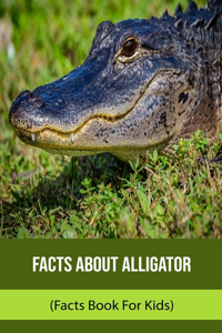 Facts About Alligator (Facts Book For Kids)