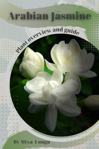 Arabian Jasmine