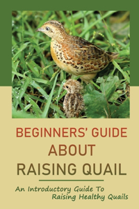 Beginners' Guide About Raising Quail
