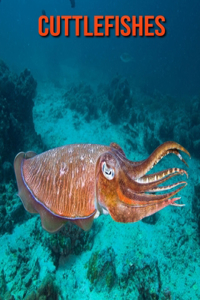 Cuttlefishes