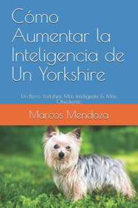 Cómo Aumentar la Inteligencia de Un Yorkshire