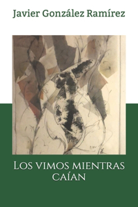 Los vimos mientras caían