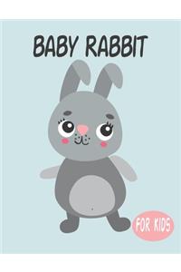Baby Rabbit For Kids