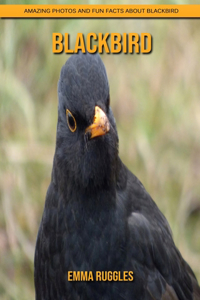 Blackbird