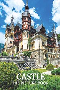 Castle