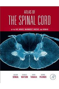 Atlas of the Spinal Cord of the Rat, Mouse, Marmoset, Rhesus, and Human