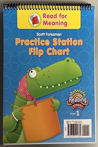 Reading 2011 Read for Meaning Practice Station Flip Chart Grade 1