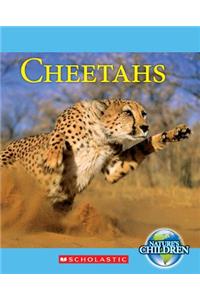 Cheetahs (Nature's Children)