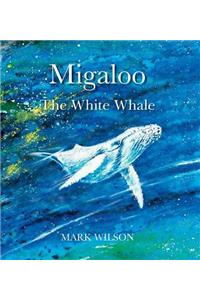 Migaloo, the White Whale