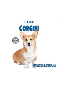 I Like Corgis!