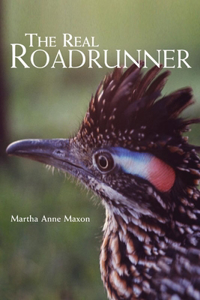 The Real Roadrunner