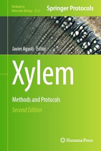 Xylem