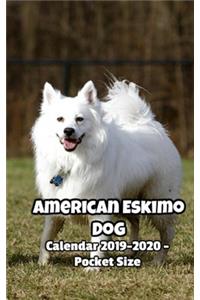 American Eskimo Dog Calendar 2019-2020 - Pocket Size
