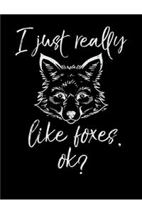 I Just Really Like Foxes OK?