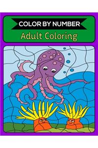 Color By Number Adult Coloring