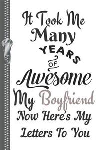 It Took Me Many Years of Awesome My Boyfriend Now Here's My Letters to You