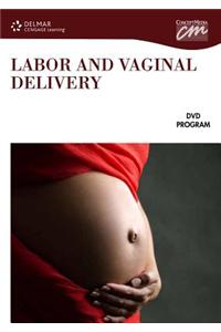 Labor and Vaginal Delivery (DVD)