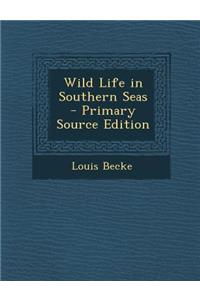 Wild Life in Southern Seas
