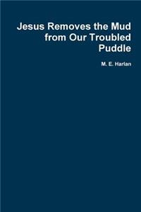 Jesus Removes the Mud from Our Troubled Puddle