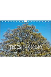 Trees in Spring / UK-Version 2017