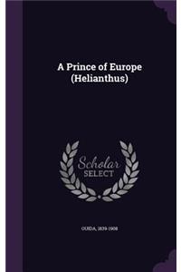 Prince of Europe (Helianthus)